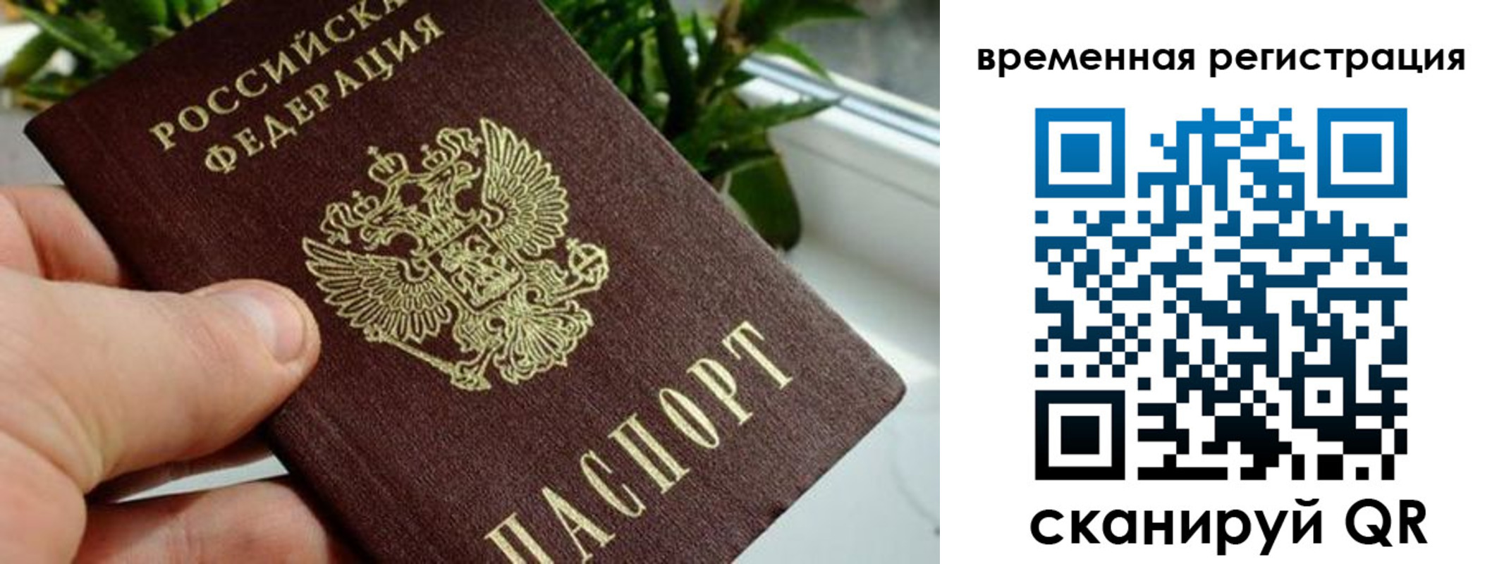 прописка поиск в Кропоткине